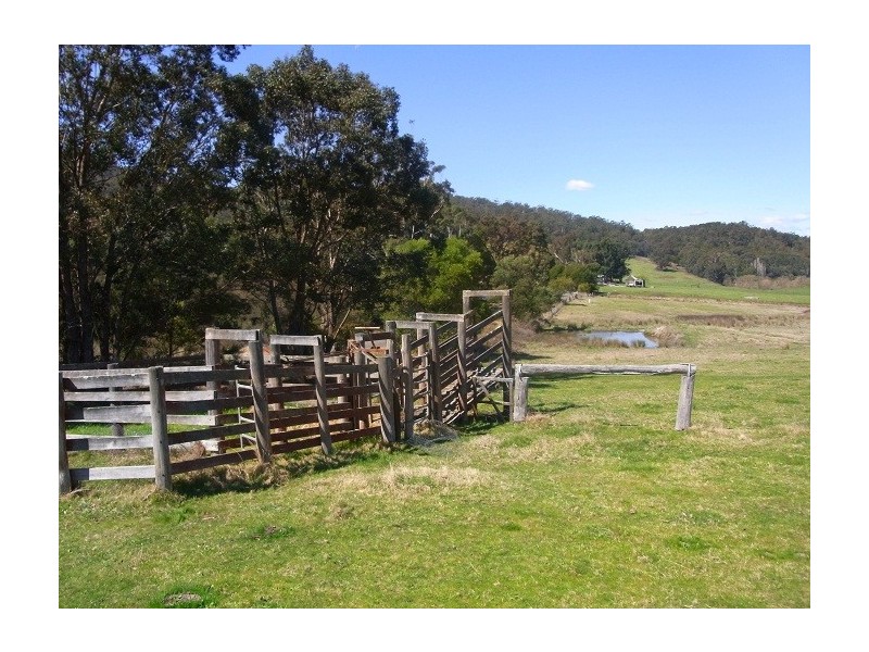 2114 TOWAMBA ROAD, Towamba NSW 2550