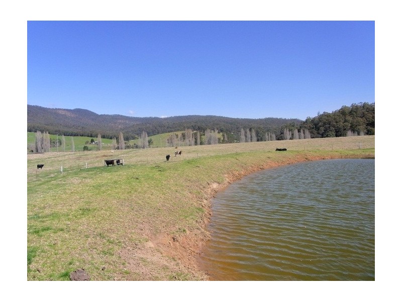 2114 TOWAMBA ROAD, Towamba NSW 2550