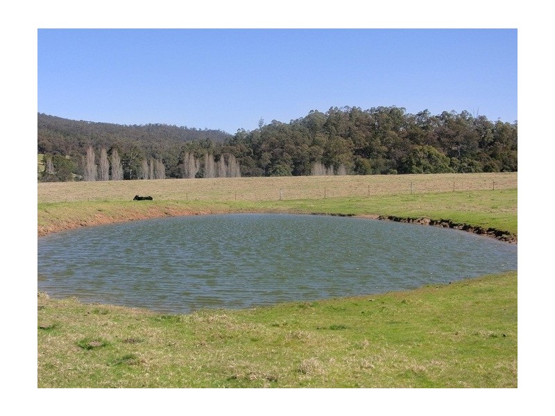 2114 TOWAMBA ROAD, Towamba NSW 2550