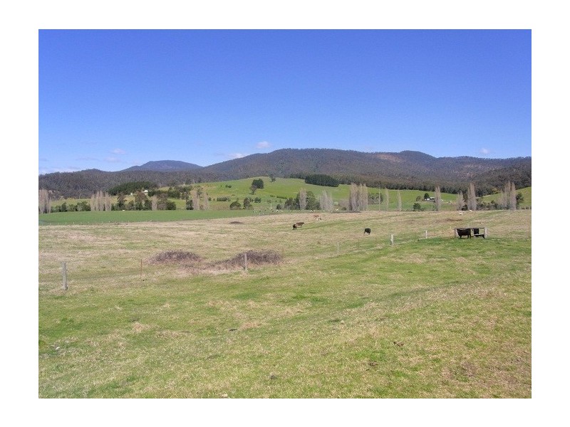 2114 TOWAMBA ROAD, Towamba NSW 2550