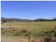 2114 TOWAMBA ROAD, Towamba NSW 2550