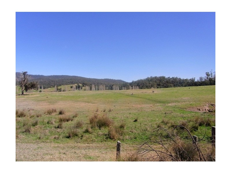 2114 TOWAMBA ROAD, Towamba NSW 2550