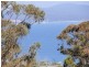 58 MITCHELL STREET, Eden NSW 2551