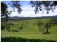 LOT 193 FOURTERS ROAD, Nethercote NSW 2549