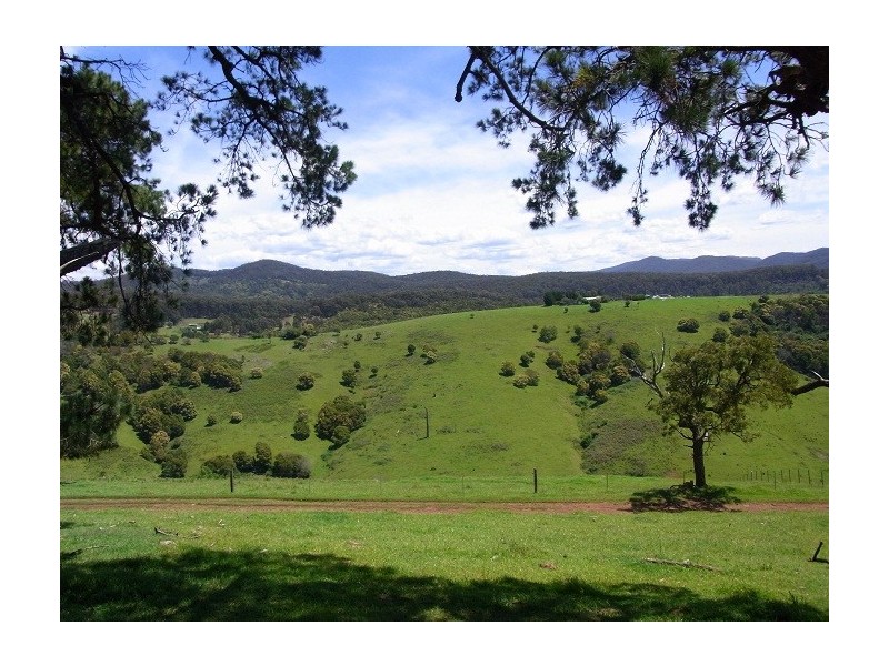 LOT 193 FOURTERS ROAD, Nethercote NSW 2549