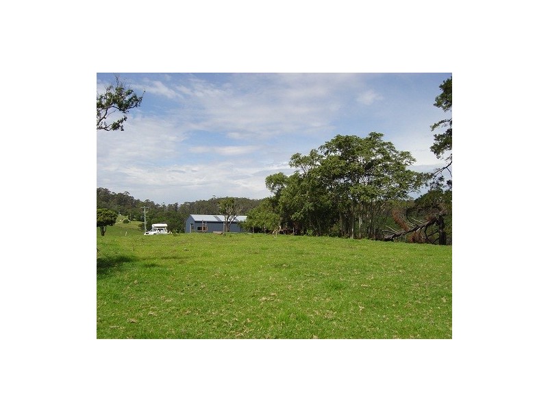 LOT 193 FOURTERS ROAD, Nethercote NSW 2549