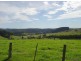 LOT 193 FOURTERS ROAD, Nethercote NSW 2549