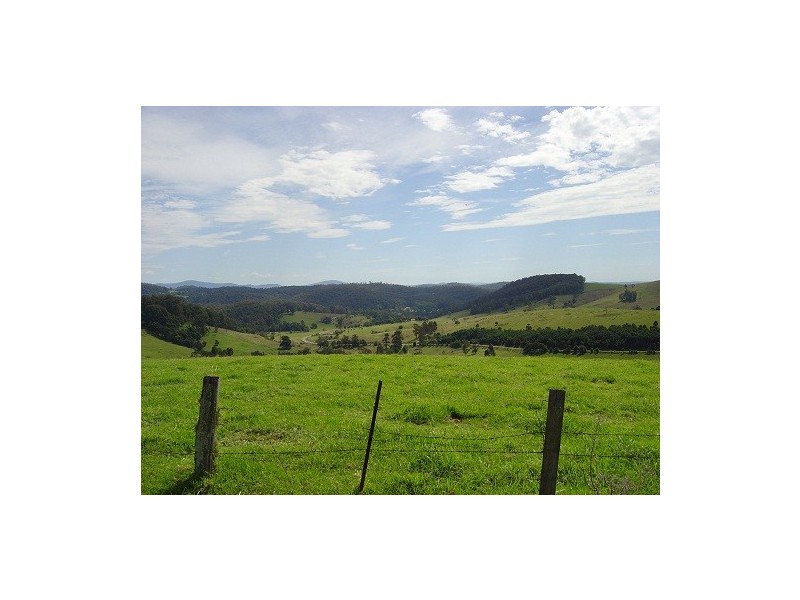 LOT 193 FOURTERS ROAD, Nethercote NSW 2549