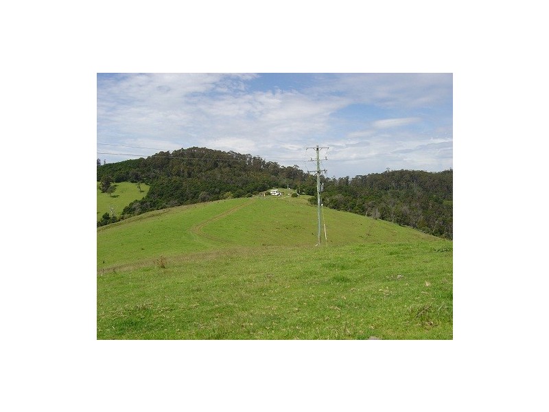 LOT 193 FOURTERS ROAD, Nethercote NSW 2549