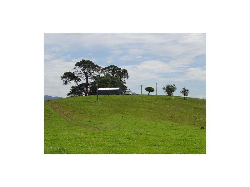 LOT 193 FOURTERS ROAD, Nethercote NSW 2549