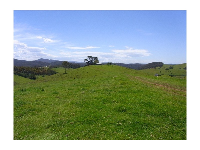 LOT 193 FOURTERS ROAD, Nethercote NSW 2549