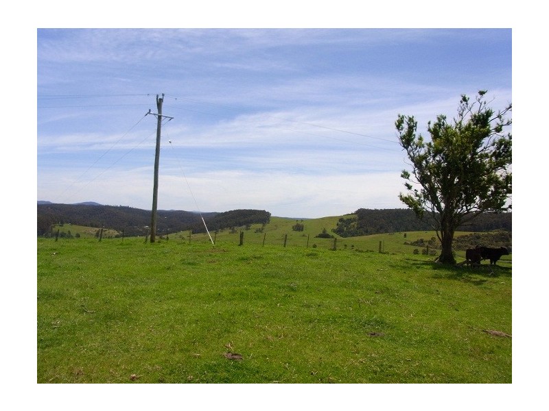 LOT 193 FOURTERS ROAD, Nethercote NSW 2549