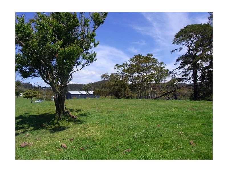 LOT 193 FOURTERS ROAD, Nethercote NSW 2549
