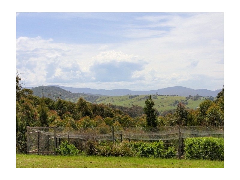 5 KIAKA ROAD, Nethercote NSW 2549