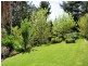811 BACK CREEK ROAD, Lochiel NSW 2549