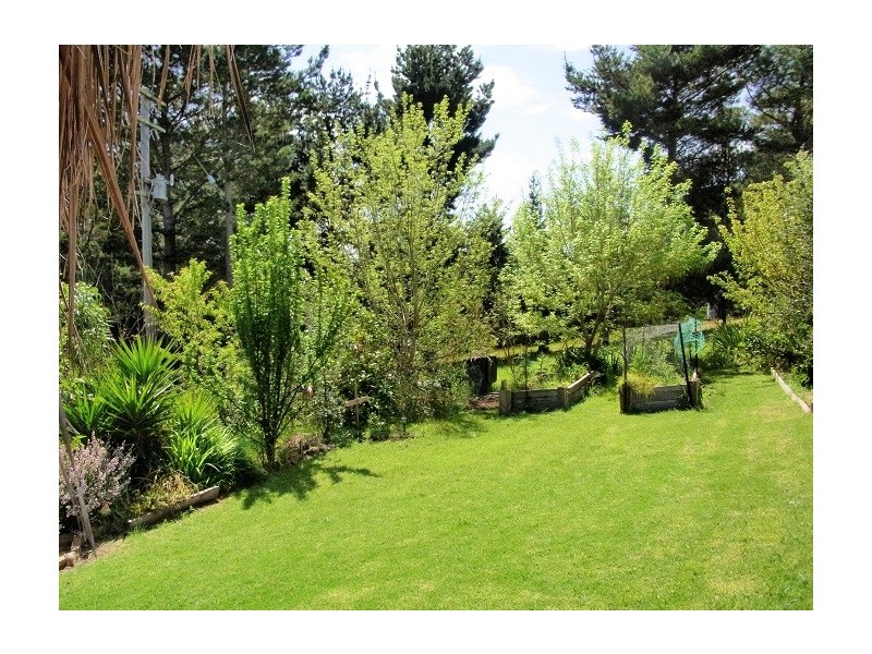 811 BACK CREEK ROAD, Lochiel NSW 2549