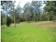 146 BACK CREEK ROAD, Nethercote NSW 2549