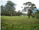 146 BACK CREEK ROAD, Nethercote NSW 2549