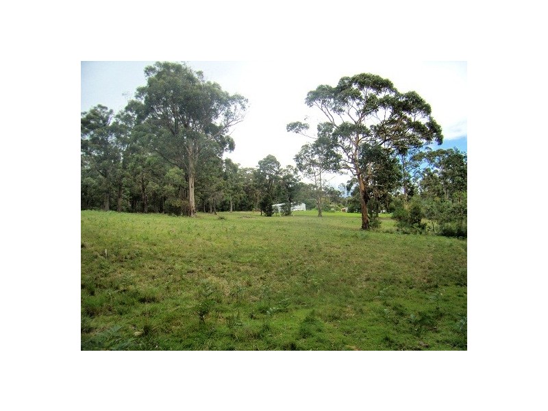 146 BACK CREEK ROAD, Nethercote NSW 2549