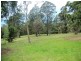 146 BACK CREEK ROAD, Nethercote NSW 2549