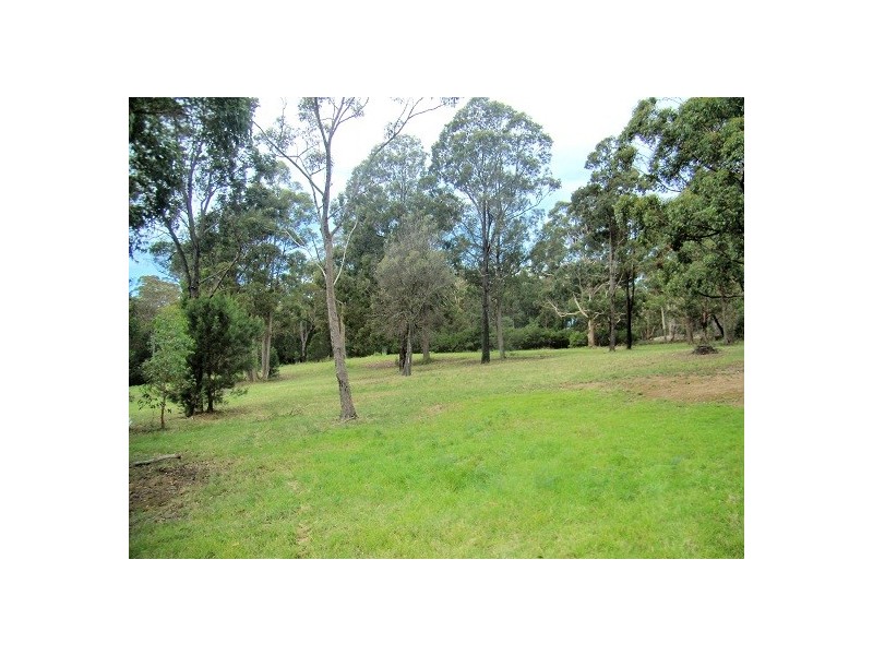 146 BACK CREEK ROAD, Nethercote NSW 2549