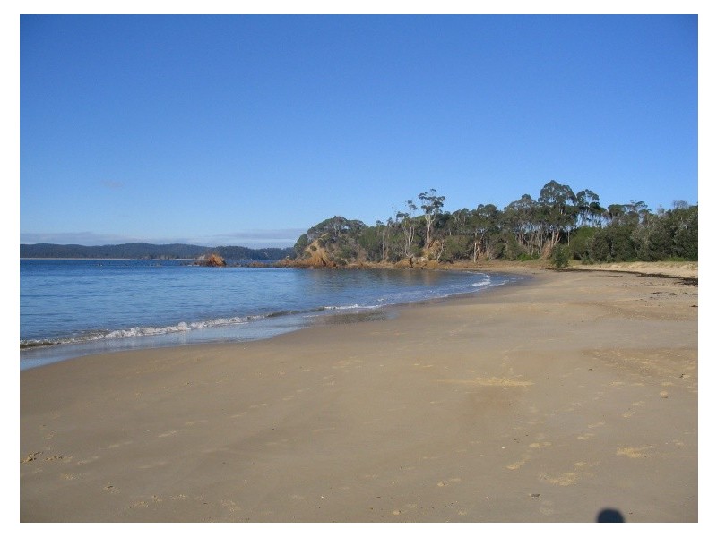 19 COSHAM CLOSE, Eden NSW 2551