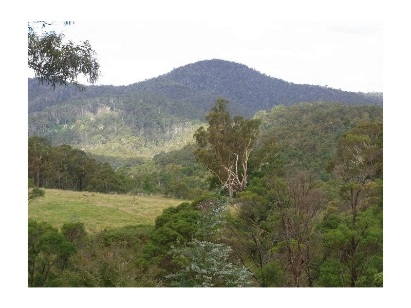 4613 NEW BUILDINGS ROAD, Wyndham NSW 2550