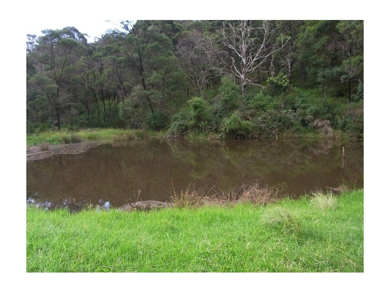 4613 NEW BUILDINGS ROAD, Wyndham NSW 2550