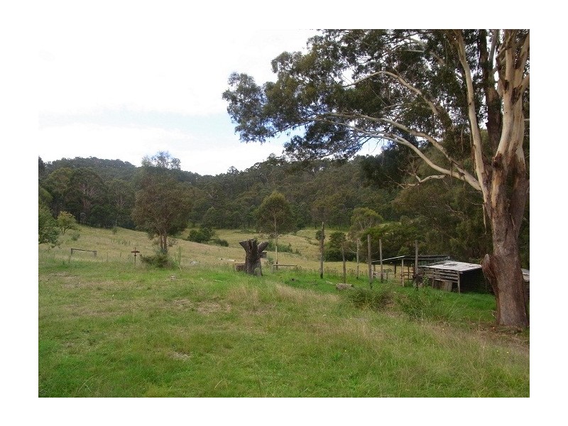 4613 NEW BUILDINGS ROAD, Wyndham NSW 2550