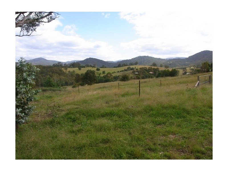 4613 NEW BUILDINGS ROAD, Wyndham NSW 2550