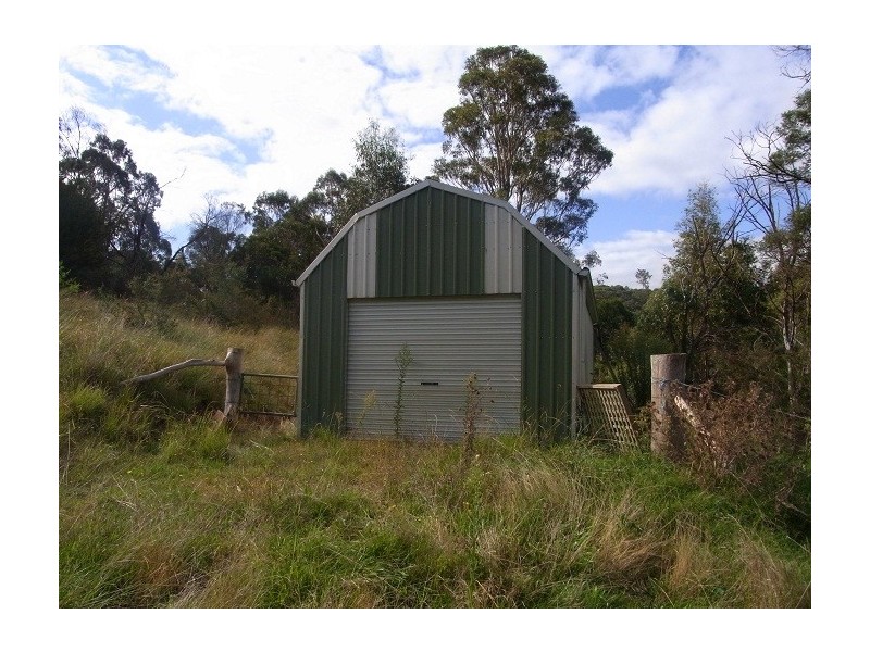 4613 NEW BUILDINGS ROAD, Wyndham NSW 2550