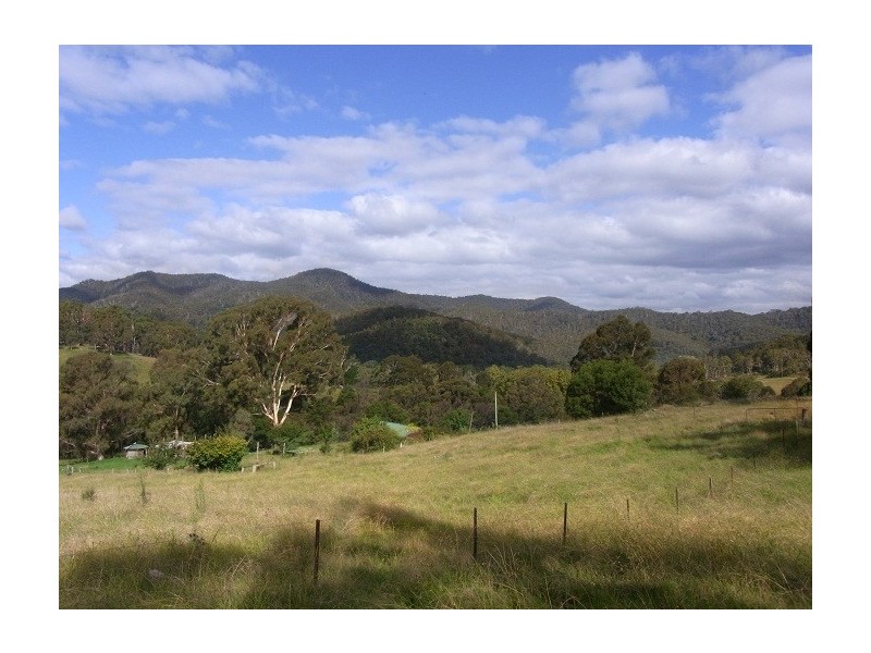 4613 NEW BUILDINGS ROAD, Wyndham NSW 2550