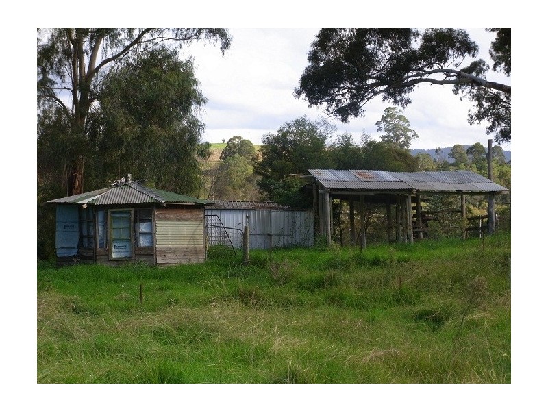 4613 NEW BUILDINGS ROAD, Wyndham NSW 2550