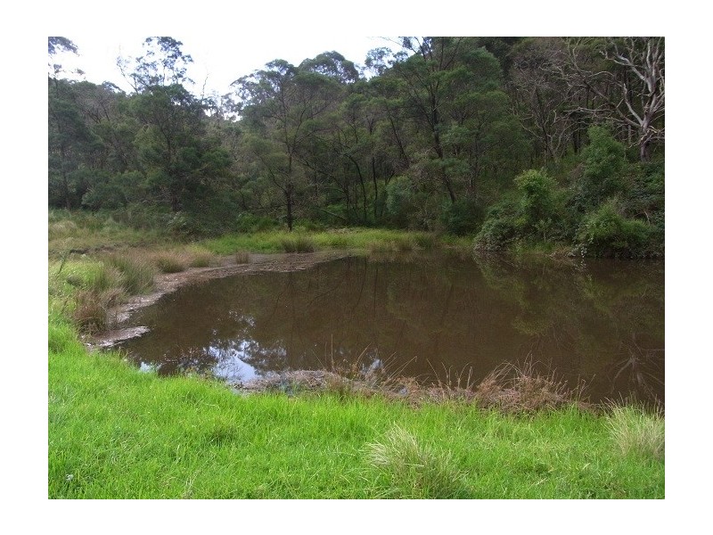 4613 NEW BUILDINGS ROAD, Wyndham NSW 2550