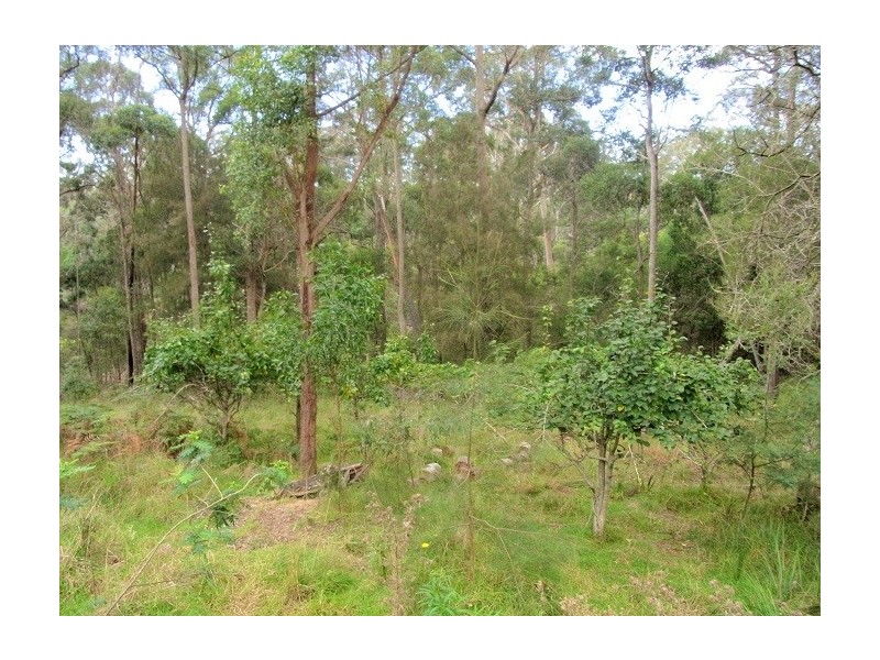 57 JIM MCMAHON DRIVE, Kiah NSW 2551