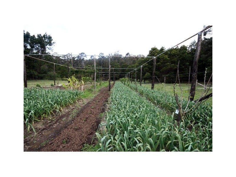 30 TOWAMBA ROAD, Eden NSW 2551