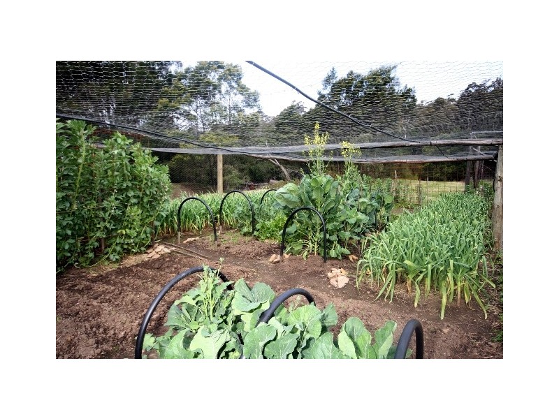 30 TOWAMBA ROAD, Eden NSW 2551