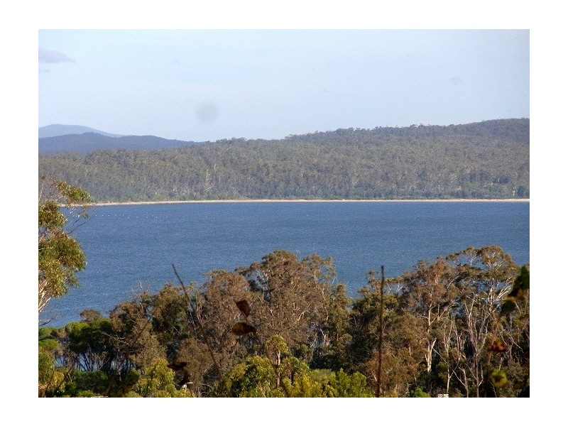 4 ANDREA STREET, Eden NSW 2551