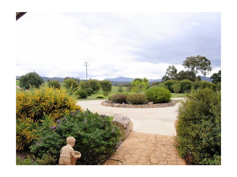 972 BACKCREEK ROAD, Nethercote NSW 2549