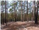LOT 242 FLORABUNDA LANE, Nethercote NSW 2549