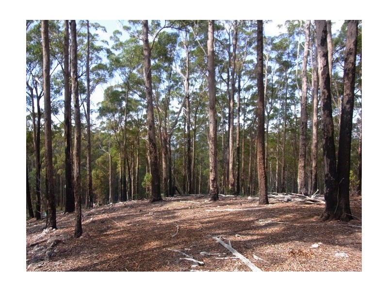 LOT 242 FLORABUNDA LANE, Nethercote NSW 2549