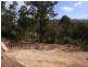 LOT 242 FLORABUNDA LANE, Nethercote NSW 2549