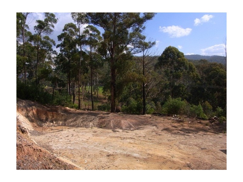 LOT 242 FLORABUNDA LANE, Nethercote NSW 2549