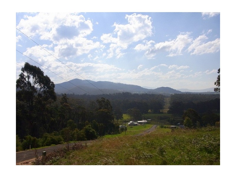 LOT 242 FLORABUNDA LANE, Nethercote NSW 2549