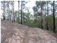 LOT 242 FLORABUNDA LANE, Nethercote NSW 2549