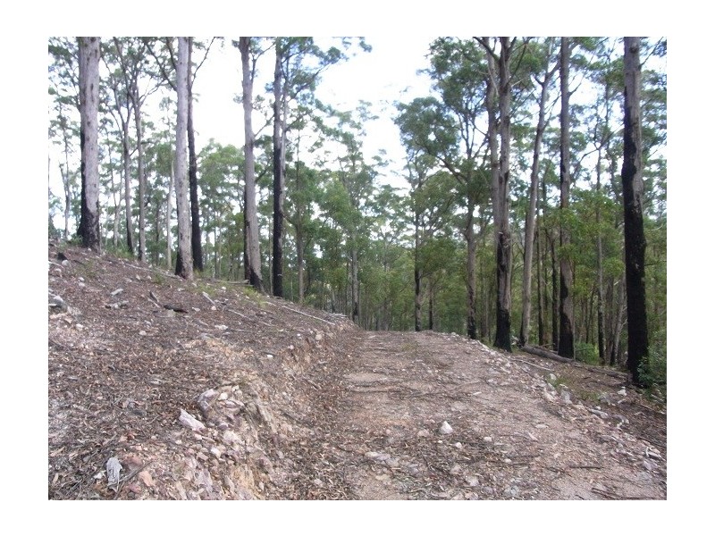 LOT 242 FLORABUNDA LANE, Nethercote NSW 2549