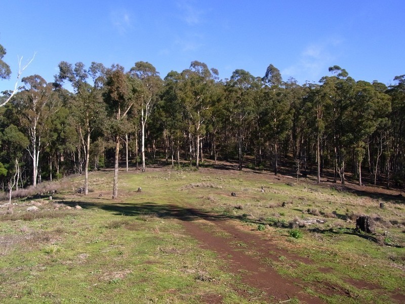 LOT 242 FLORABUNDA LANE, Nethercote NSW 2549