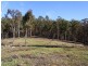 LOT 242 FLORABUNDA LANE, Nethercote NSW 2549