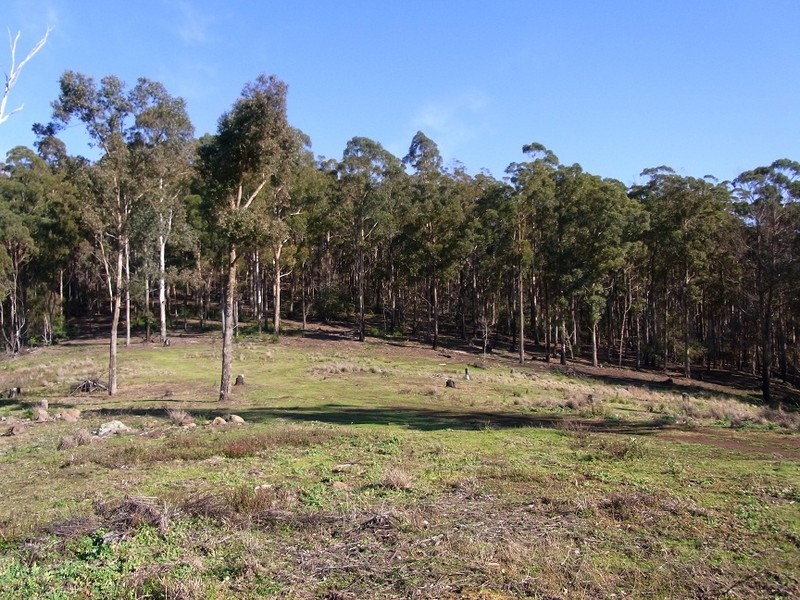 LOT 242 FLORABUNDA LANE, Nethercote NSW 2549