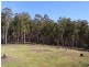 LOT 242 FLORABUNDA LANE, Nethercote NSW 2549